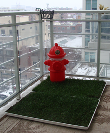 High Rise Winter Dog Patio